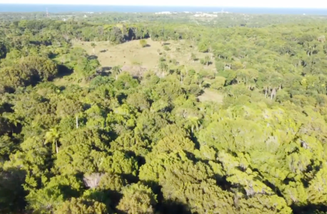 Land for sale in Sosúa, Puerto Plata