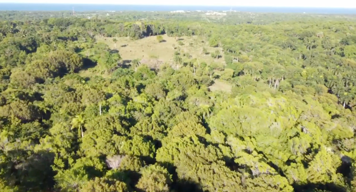 Land for sale in Sosúa, Puerto Plata