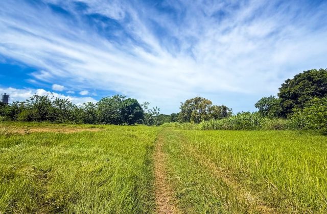 Land for sale in Bombita, Cabarete