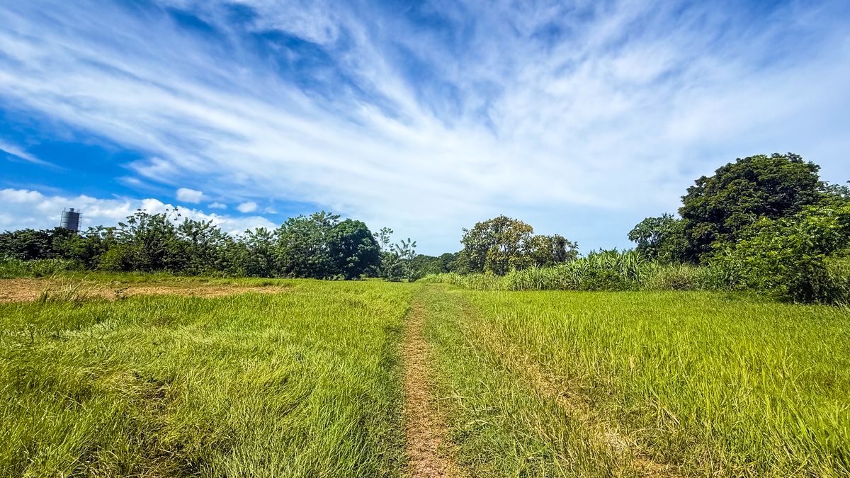 Land for sale in Bombita, Cabarete