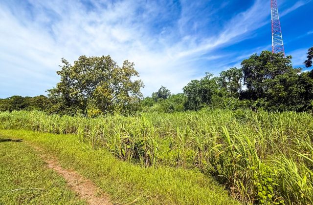 Land for sale in Bombita, Cabarete, photo 3