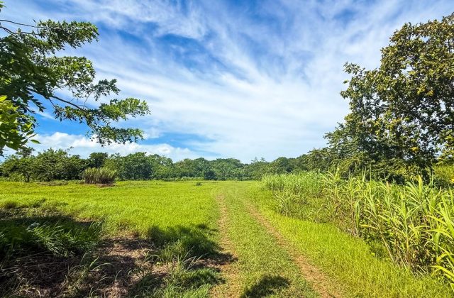 Land for sale in Bombita, Cabarete, photo 4
